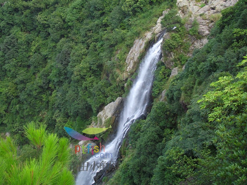 龙华仙门寺虹山瀑布半日行