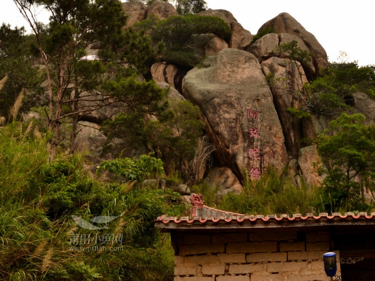 经囊山寺爬囊山锻炼之余随拍