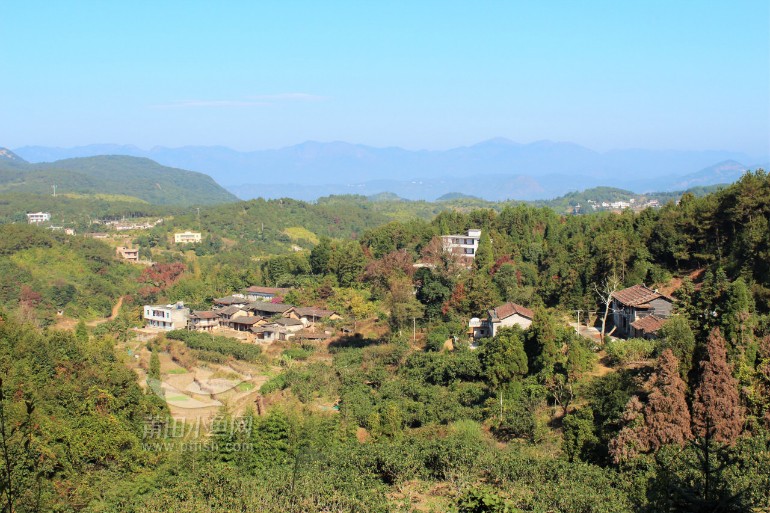 新县山乡赏枫