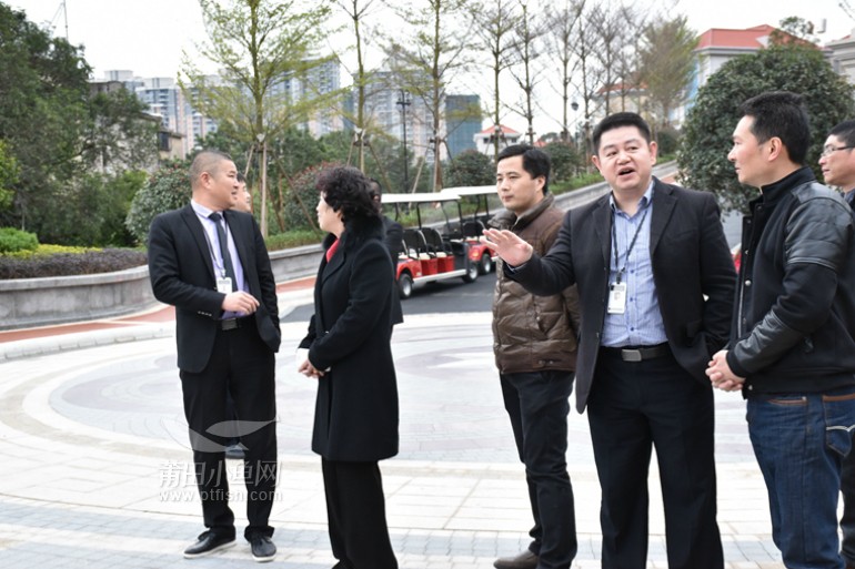 快讯:城厢区政协主席黄志强等相关领导调研凤凰山·铂郡项目
