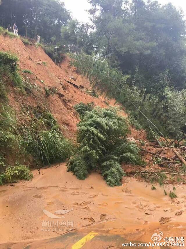 仙游县龙华镇金山村此次受灾严重!