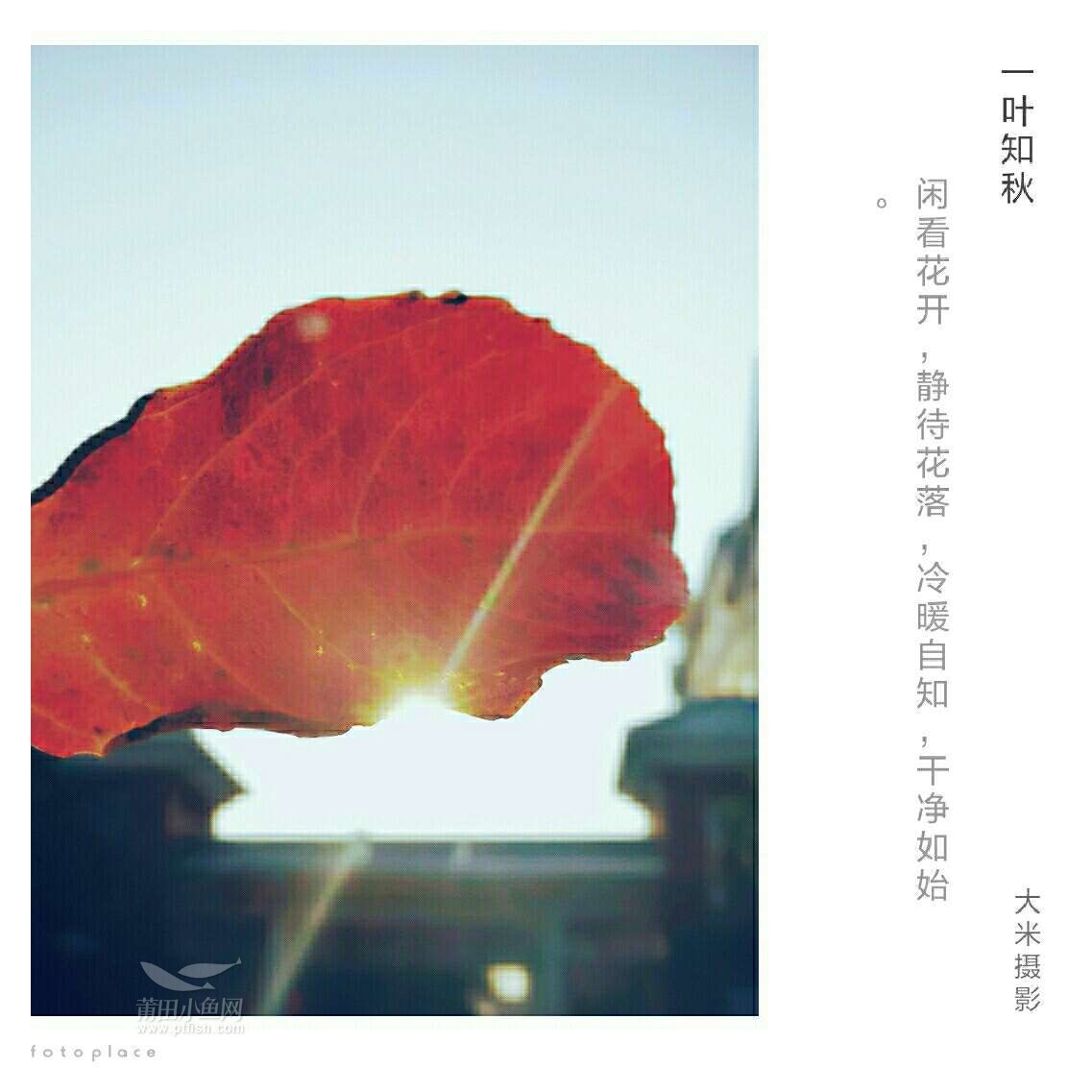 闲看花开,静待花落,冷暖自知,干净如始.风轻云淡,岁月安好.