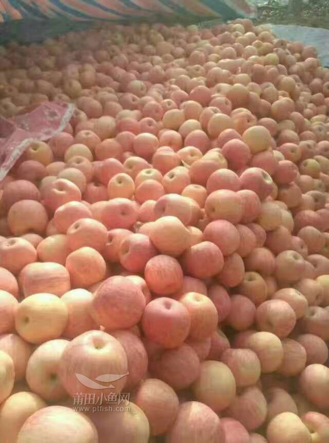 微信卖一千多的苹果