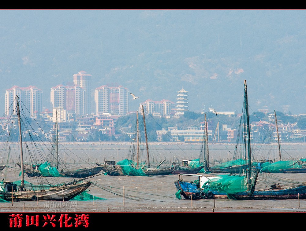 莆田兴化湾