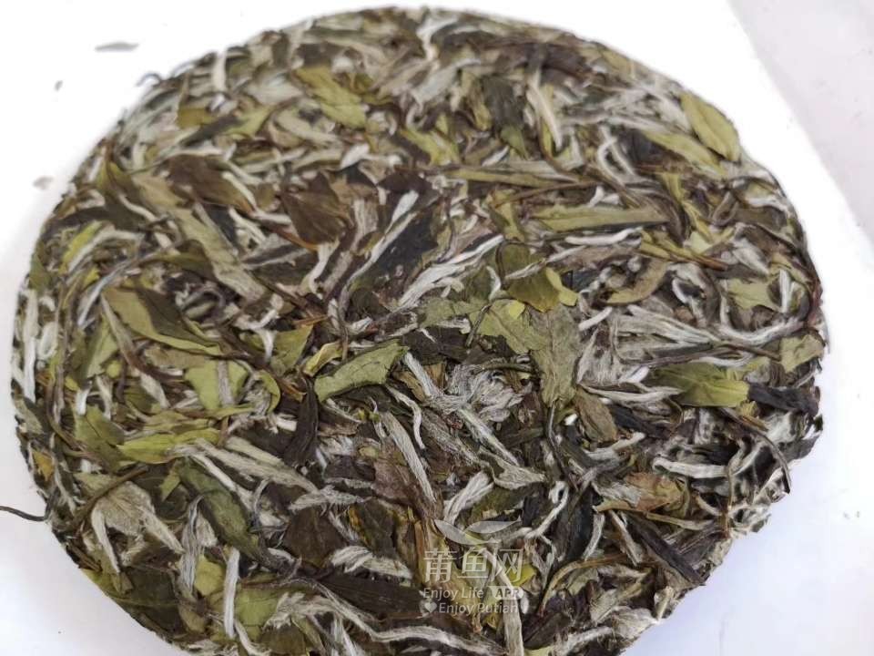 卖福鼎白茶(寿眉,贡眉,白毫银针等,原产地白茶)