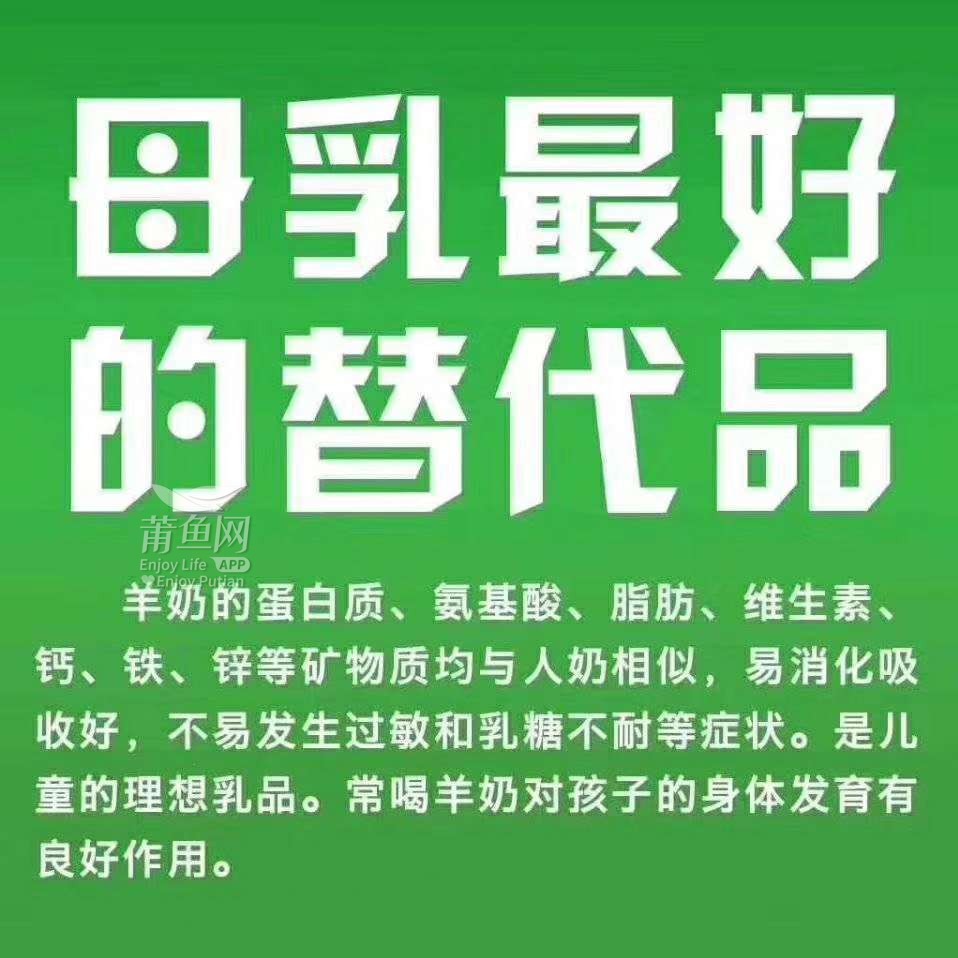 莆田醇鲜然鲜羊奶每天早晚配送提供免费上门试喝试喝热线18296389916