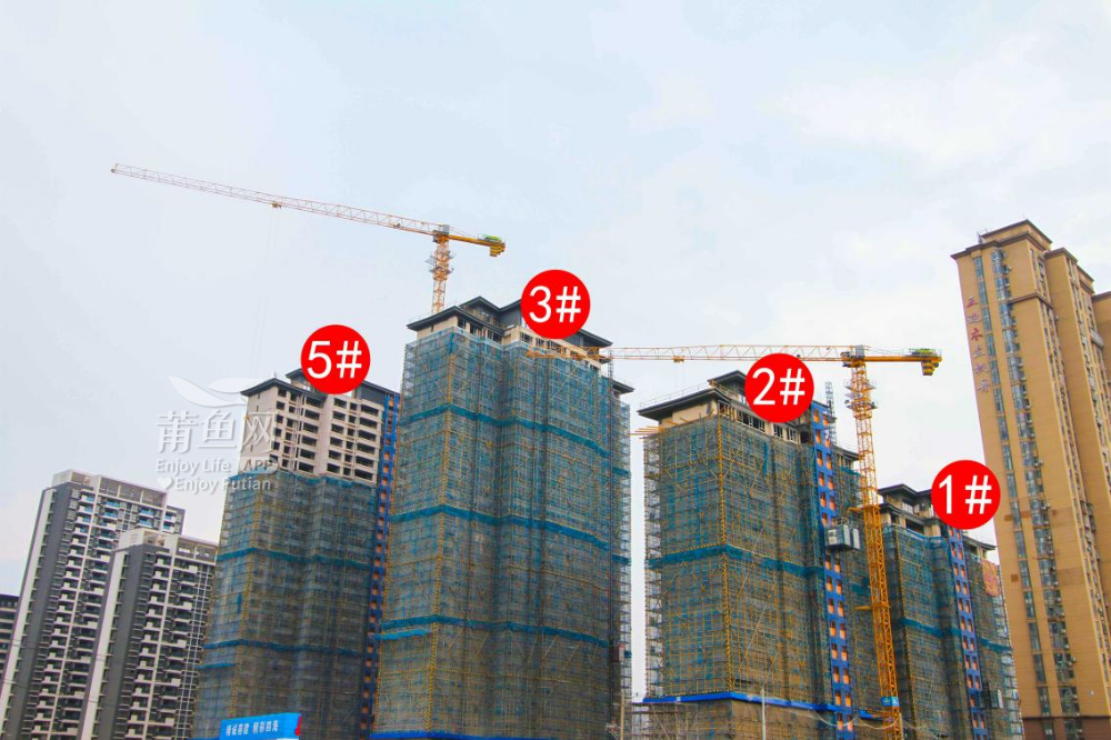 图片14.png
