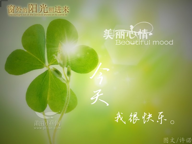 美丽心情.jpg