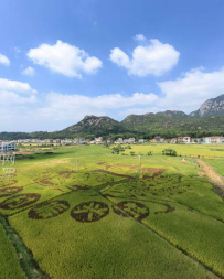 豐收節